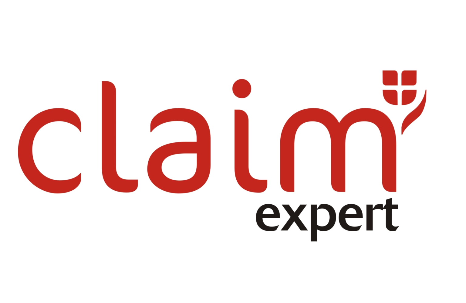claim_expert_transparent (1)